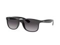 Ray-Ban Andy Gafas de Sol RB 4202 601/8G