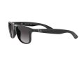 Ray-Ban Andy Gafas de Sol RB 4202 601/8G