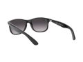 Ray-Ban Andy Gafas de Sol RB 4202 601/8G