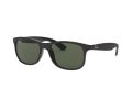 Ray-Ban Andy Gafas de Sol RB 4202 6069/71