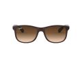 Ray-Ban Andy Gafas de Sol RB 4202 6073/13
