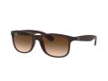 Ray-Ban Andy Gafas de Sol RB 4202 6073/13