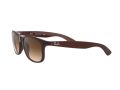Ray-Ban Andy Gafas de Sol RB 4202 6073/13