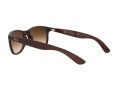 Ray-Ban Andy Gafas de Sol RB 4202 6073/13