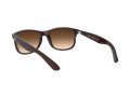 Ray-Ban Andy Gafas de Sol RB 4202 6073/13