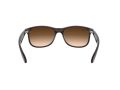 Ray-Ban Andy Gafas de Sol RB 4202 6073/13