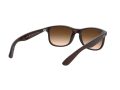 Ray-Ban Andy Gafas de Sol RB 4202 6073/13
