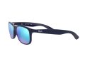 Ray-Ban Andy Gafas de Sol RB 4202 6153/55