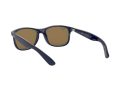 Ray-Ban Andy Gafas de Sol RB 4202 6153/55