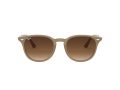 Ray-Ban Gafas de Sol 4259 616613