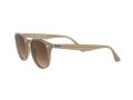 Ray-Ban Gafas de Sol 4259 616613