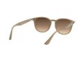 Ray-Ban Gafas de Sol 4259 616613