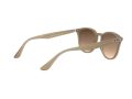 Ray-Ban Gafas de Sol 4259 616613