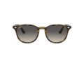 Ray-Ban Gafas de Sol RB 4259 710/11