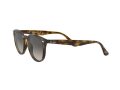 Ray-Ban Gafas de Sol RB 4259 710/11
