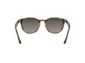 Ray-Ban Gafas de Sol RB 4259 710/11