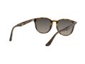 Ray-Ban Gafas de Sol RB 4259 710/11