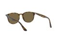 Ray-Ban Gafas de Sol RB 4259 710/73
