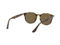 Ray-Ban Gafas de Sol RB 4259 710/73