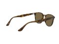 Ray-Ban Gafas de Sol RB 4259 710/73