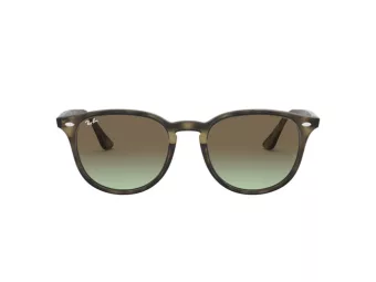 Ray-Ban Gafas de Sol RB 4259 731/E8