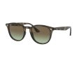 Ray-Ban Gafas de Sol RB 4259 731/E8