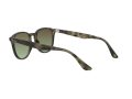 Ray-Ban Gafas de Sol RB 4259 731/E8