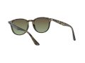 Ray-Ban Gafas de Sol RB 4259 731/E8