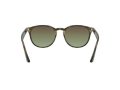 Ray-Ban Gafas de Sol RB 4259 731/E8