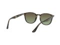 Ray-Ban Gafas de Sol RB 4259 731/E8