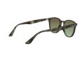 Ray-Ban Gafas de Sol RB 4259 731/E8