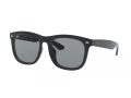 Ray-Ban Gafas de Sol RB 4260D 601/1