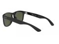 Ray-Ban Gafas de Sol RB 4260D 601/30