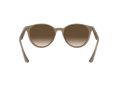 Ray-Ban Gafas de Sol RB 4305 6166/13