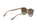 Ray-Ban Gafas de Sol RB 4305 6166/13