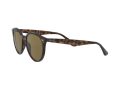 Ray-Ban Gafas de Sol RB 4305 710/73