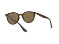 Ray-Ban Gafas de Sol RB 4305 710/73