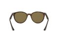 Ray-Ban Gafas de Sol RB 4305 710/73