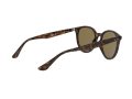 Ray-Ban Gafas de Sol RB 4305 710/73