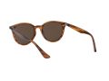 Ray-Ban Gafas de Sol RB 4305 820/73