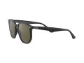 Ray-Ban Gafas de Sol RB 4306 601/9A