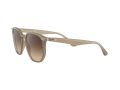 Ray-Ban Gafas de Sol RB 4306 616613