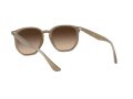 Ray-Ban Gafas de Sol RB 4306 616613