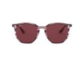 Ray-Ban Gafas de Sol RB 4306 6431/75