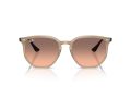 Ray-Ban Gafas de Sol RB 4306 678846