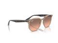 Ray-Ban Gafas de Sol RB 4306 678846
