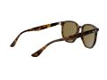 Ray-Ban Gafas de Sol RB 4306 710/73