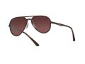 Ray-Ban Gafas de Sol RB 4320/CH 710/6B