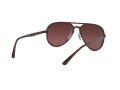 Ray-Ban Gafas de Sol RB 4320/CH 710/6B