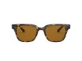 Ray-Ban Gafas de Sol RB 4323 710/33